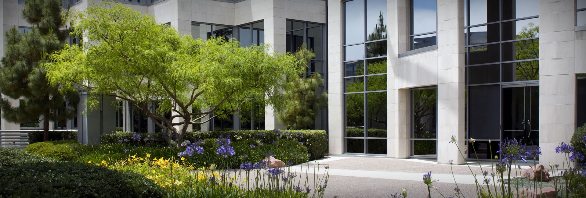 Commercial Landscaping Brisbane